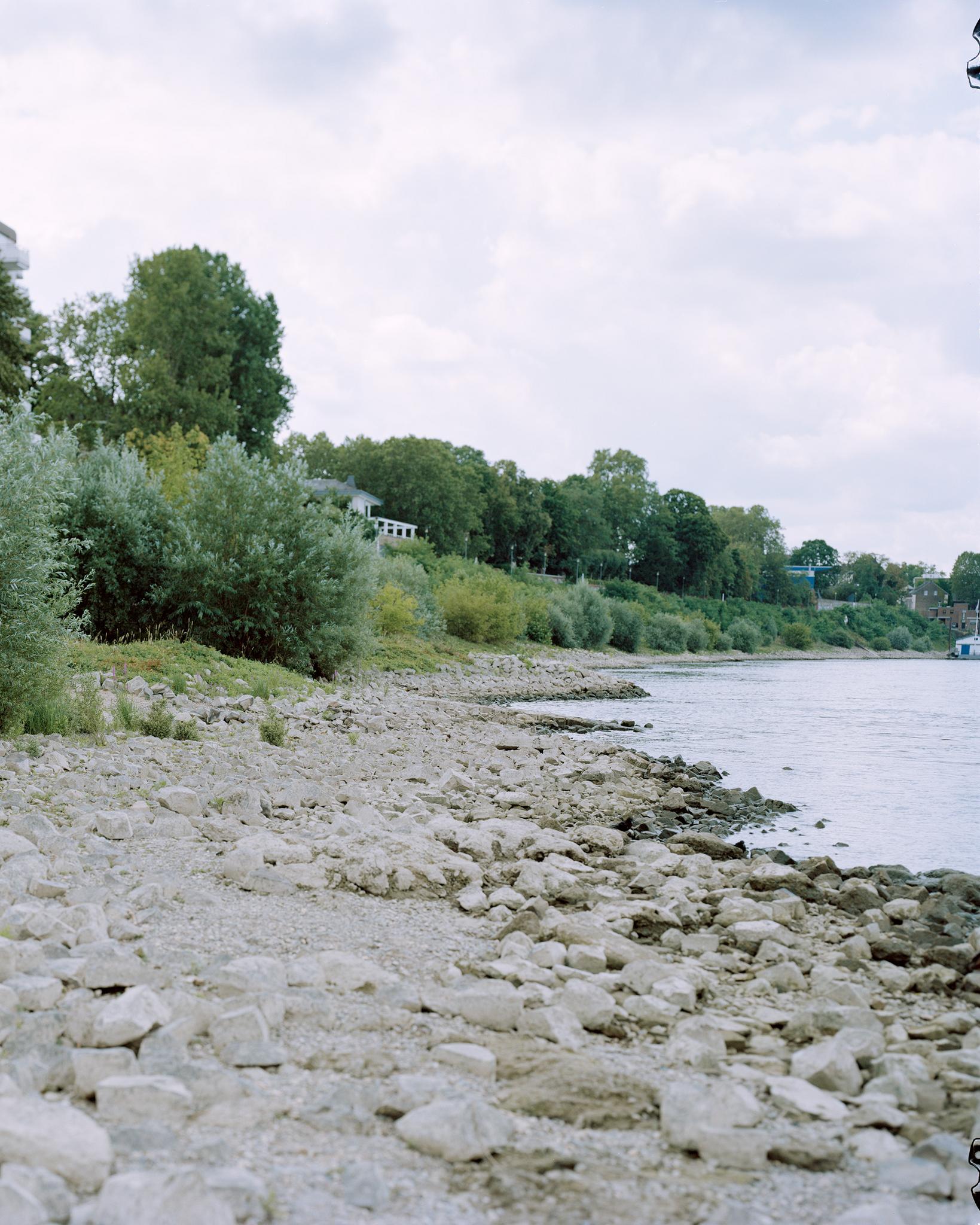 Gallery image of the project Songs of Sanity