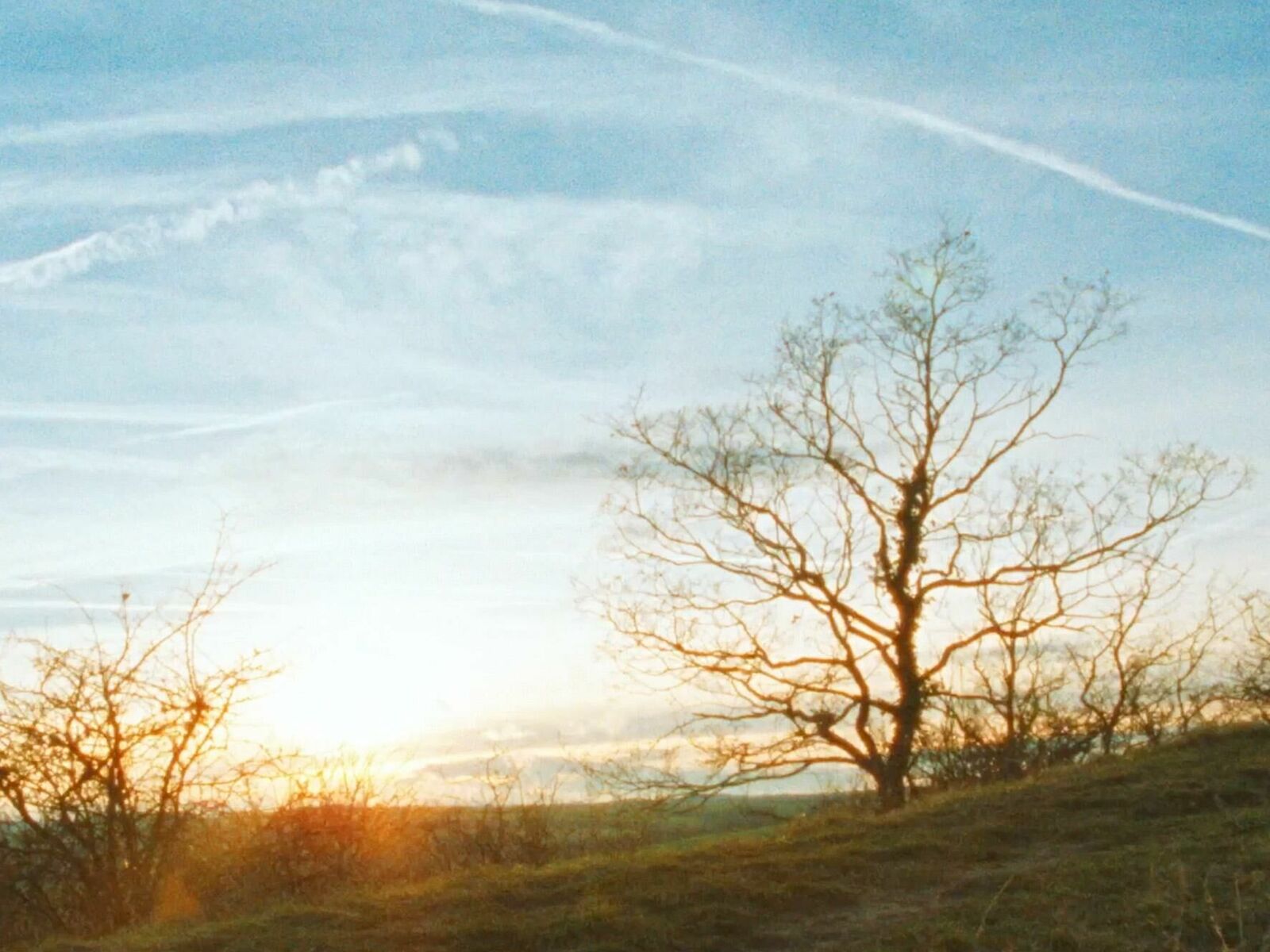 Cover image of the project To sit on watch