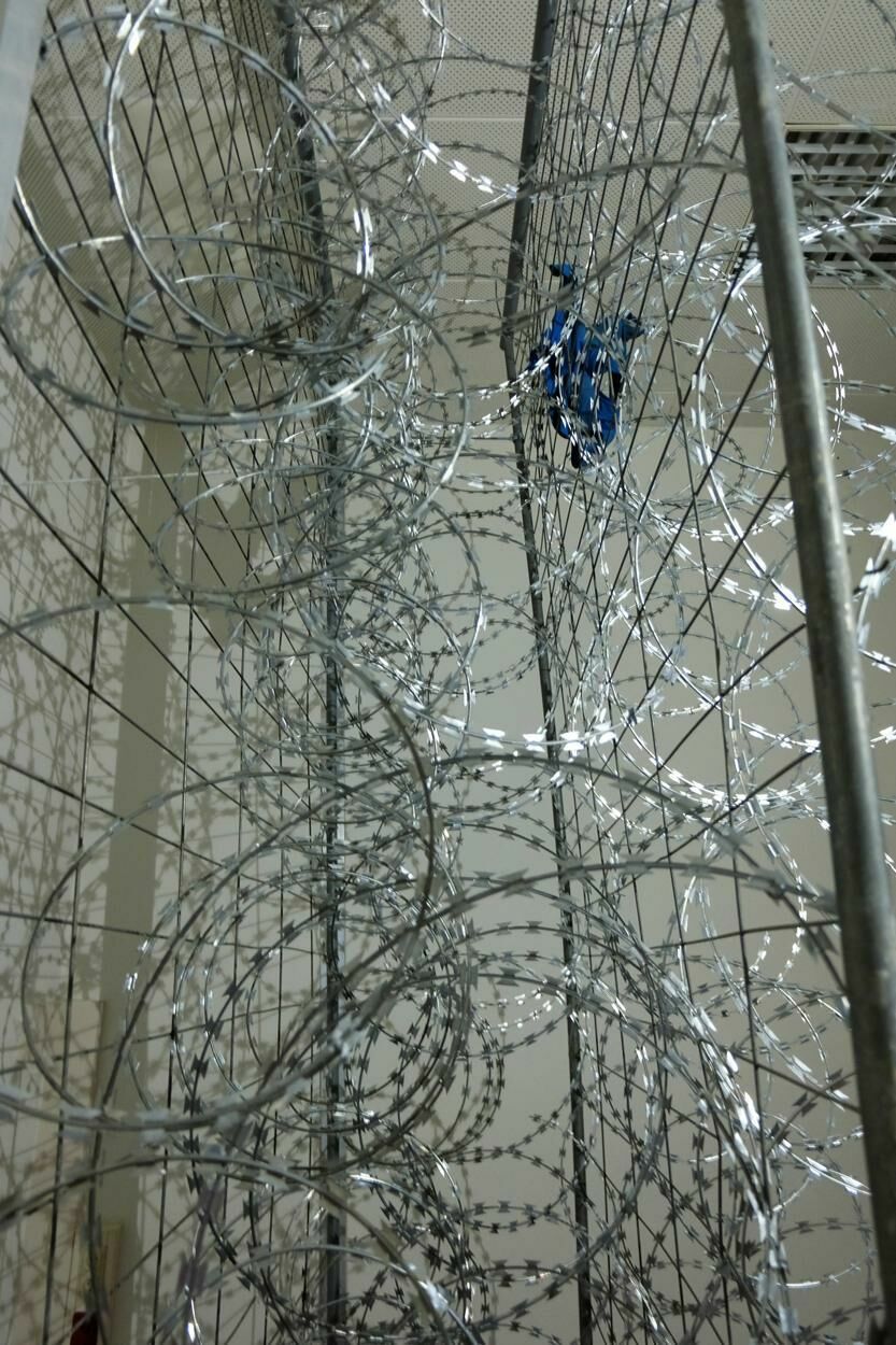 Gallery image of the project The fence