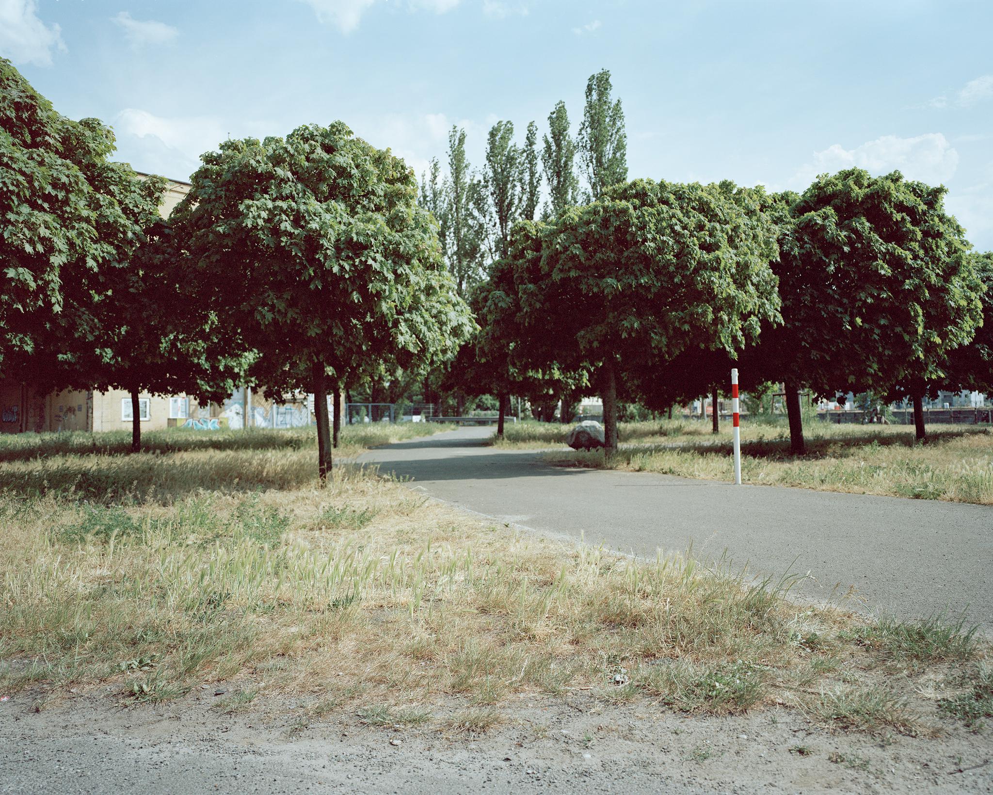 Gallery image of the project Songs of Sanity