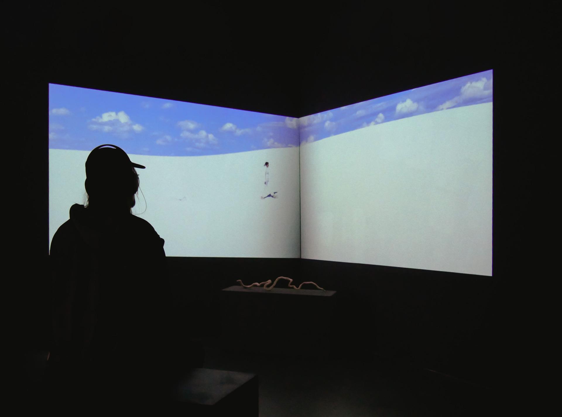 Gallery image of the project this S. does not exist