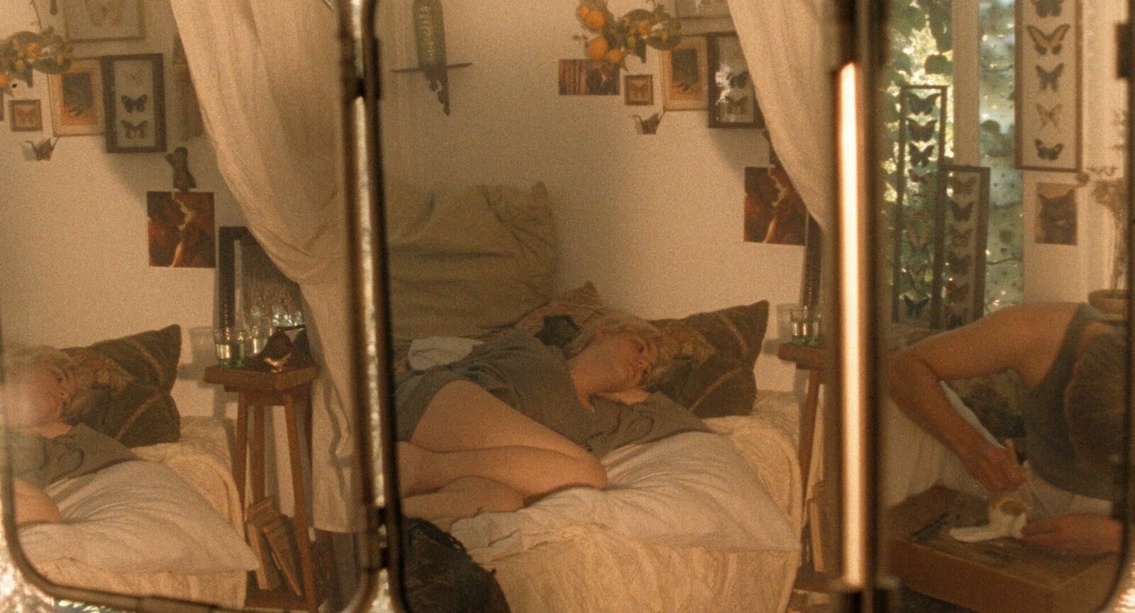 Cover image of the project PEEL