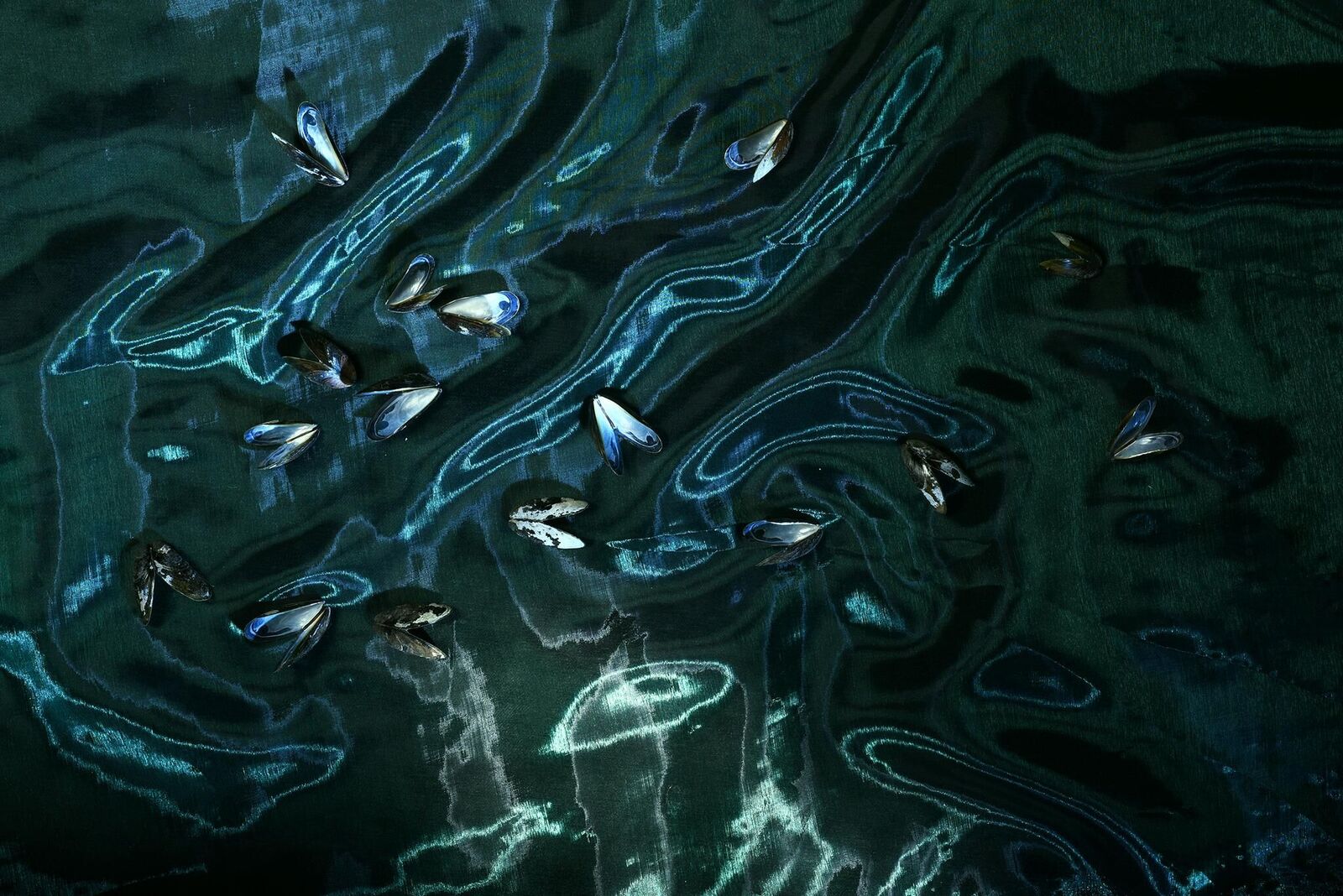 Cover image of the project I pretend that I belong here