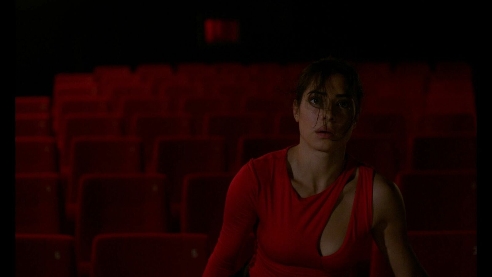 Cover image of the project Katzenbellen