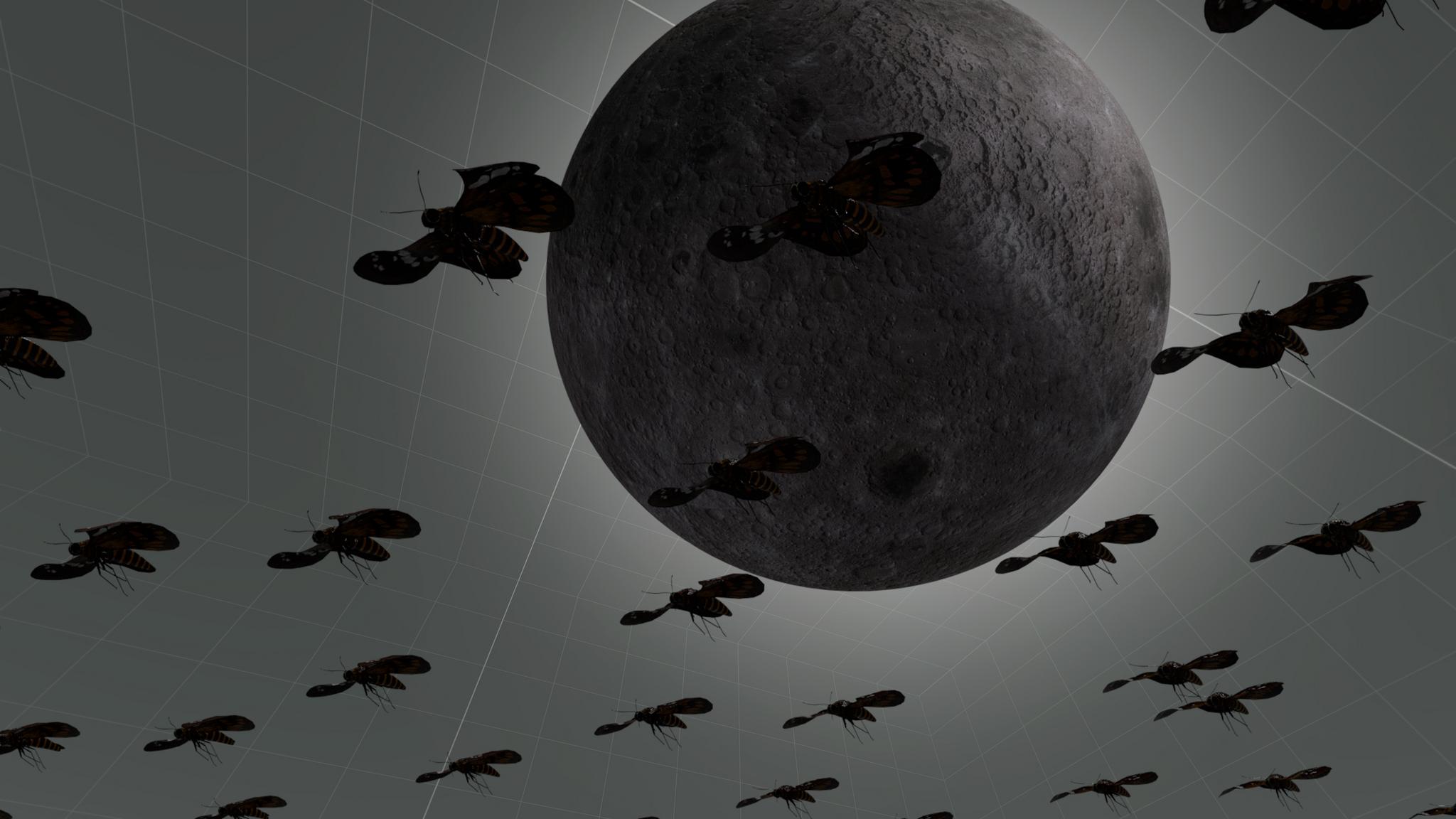 Gallery image of the project I could once speak under two moons