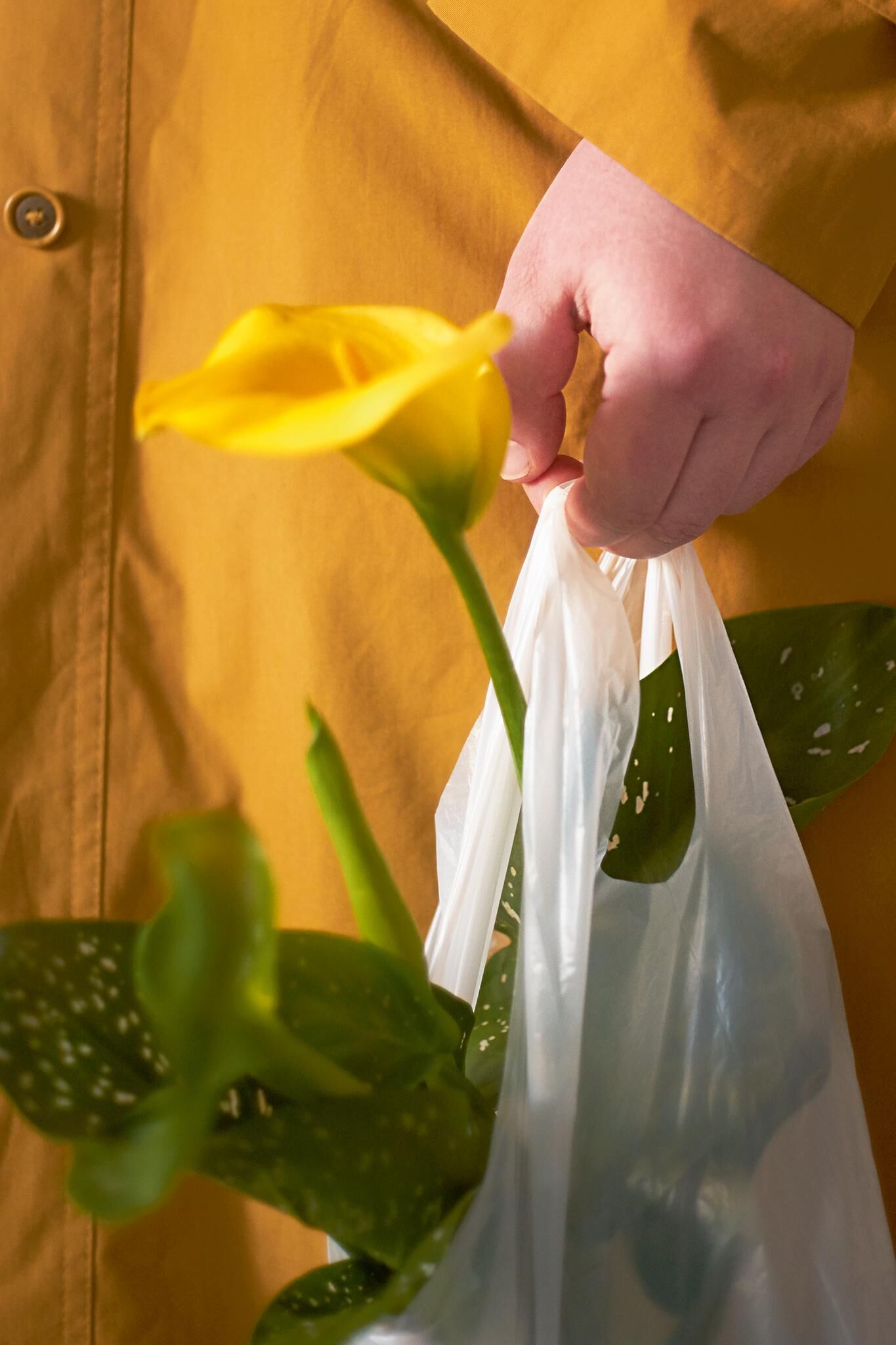 Gallery image of the project Innenleben