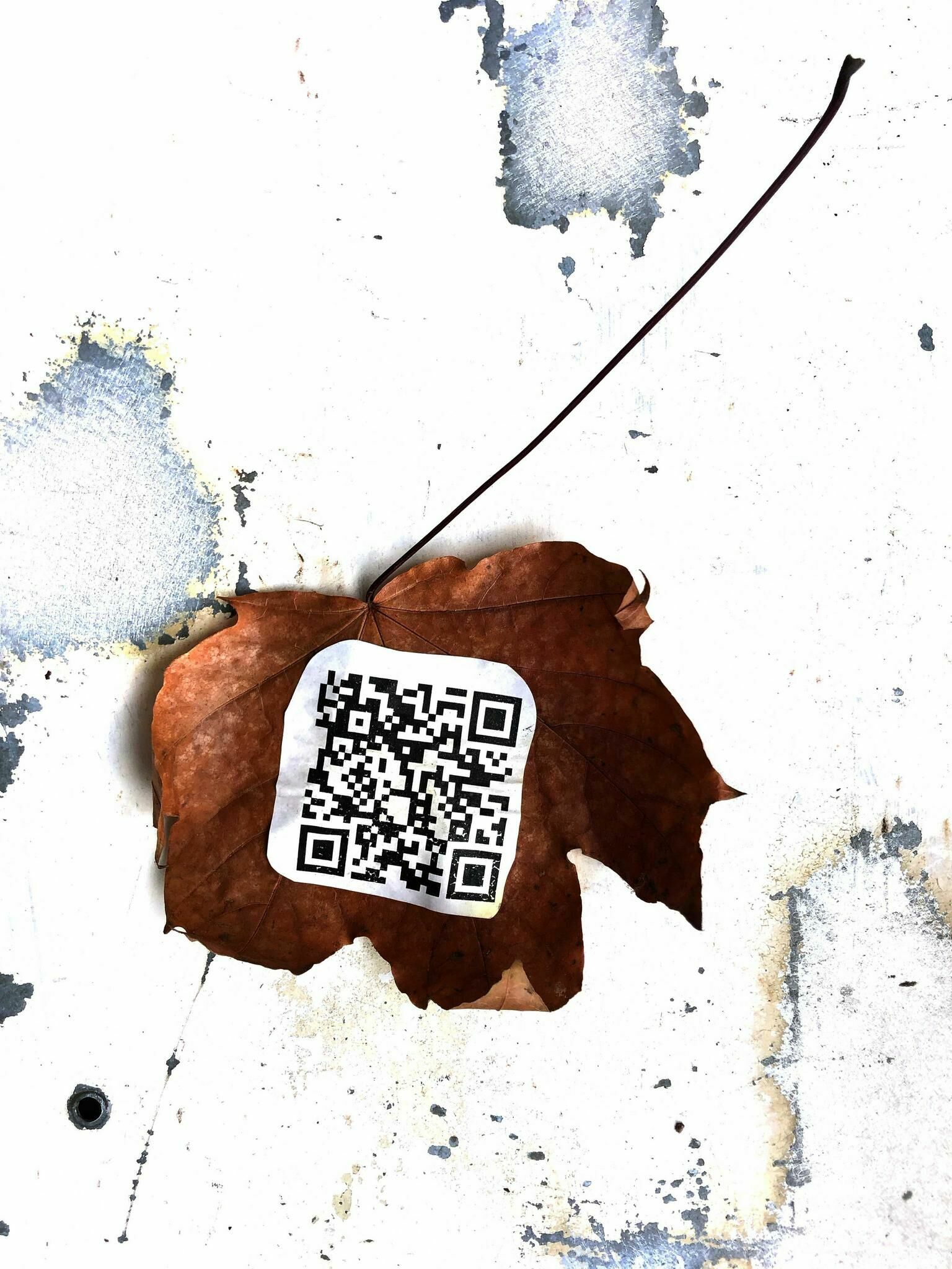 Gallery image of the project Kollektives Klopfen