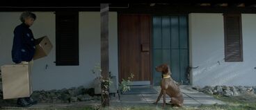 Gallery image of the project S’Tuntschi vo Juf 