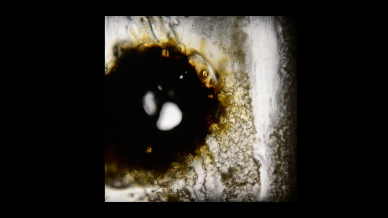 Gallery image of the project Der Körperflicker 4