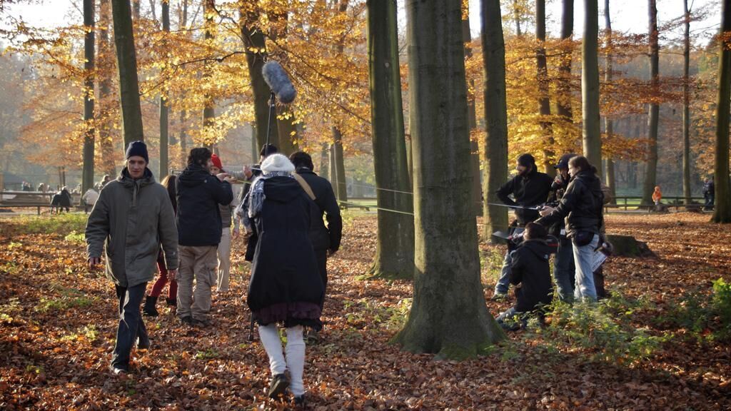 Cover image of the project Alles wird Knut