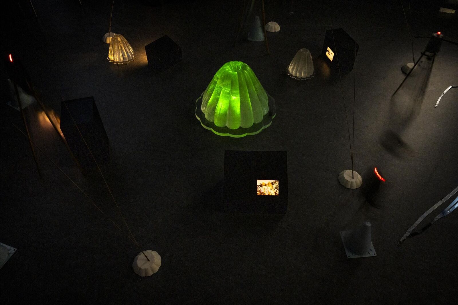 Gallery image of the project Pasajera Nocturna