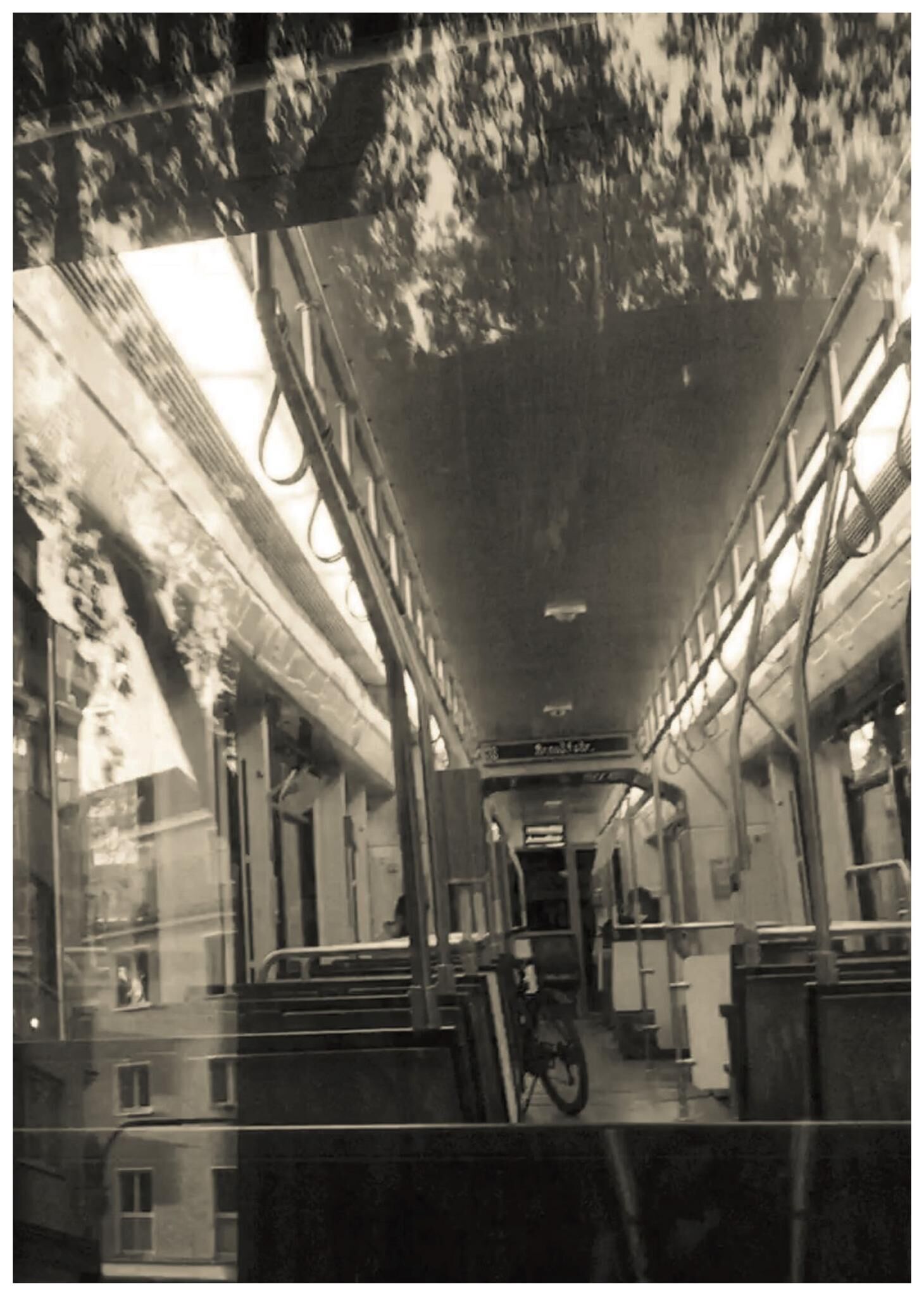 Gallery image of the project FALSE SPRING