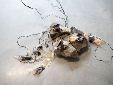 Multispecies Studio: Corinna Duschl