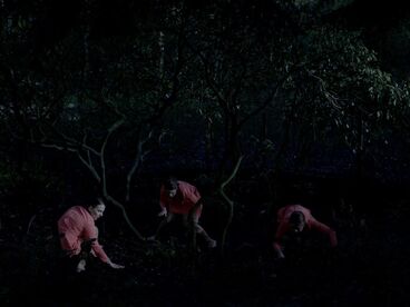 Gallery image of the project Ein bisschen Gemurmel aus dem Wald