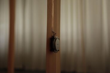 FOREST SCAPES I: KEREITA FOREST BLOCK