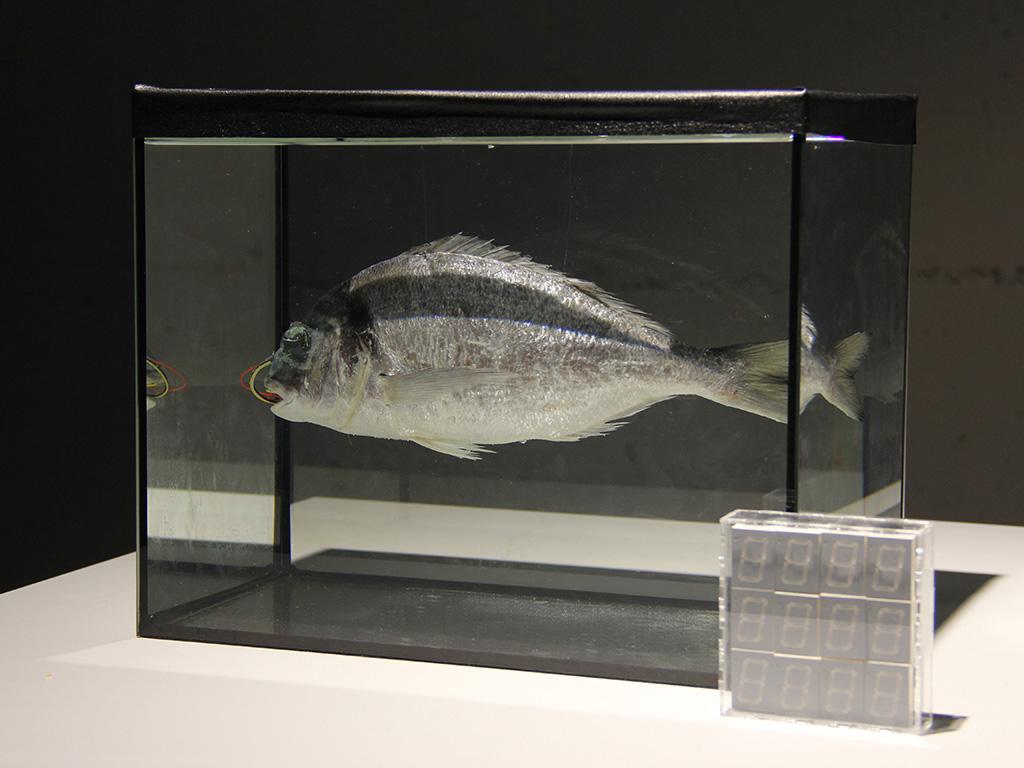 Gallery image of the project C