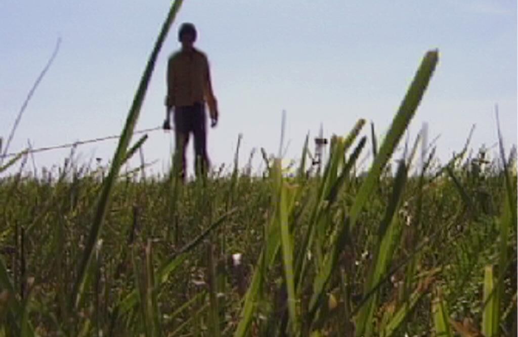 Gallery image of the project Brambory Fever 