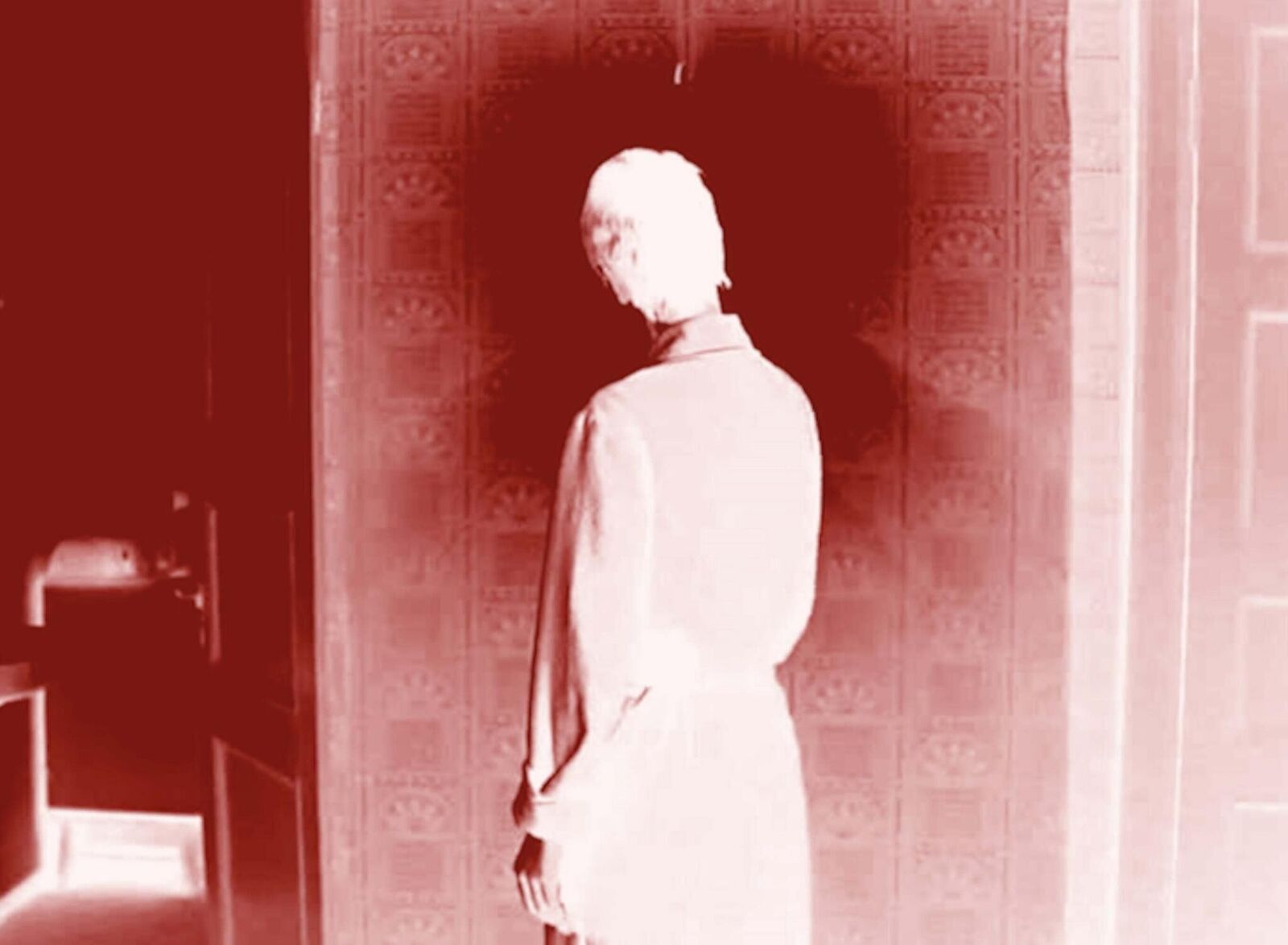 Cover image of the project Lap Dogs