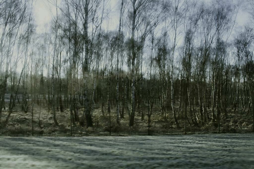 Gallery image of the project Kameraarbeit im Dokumentarfilm