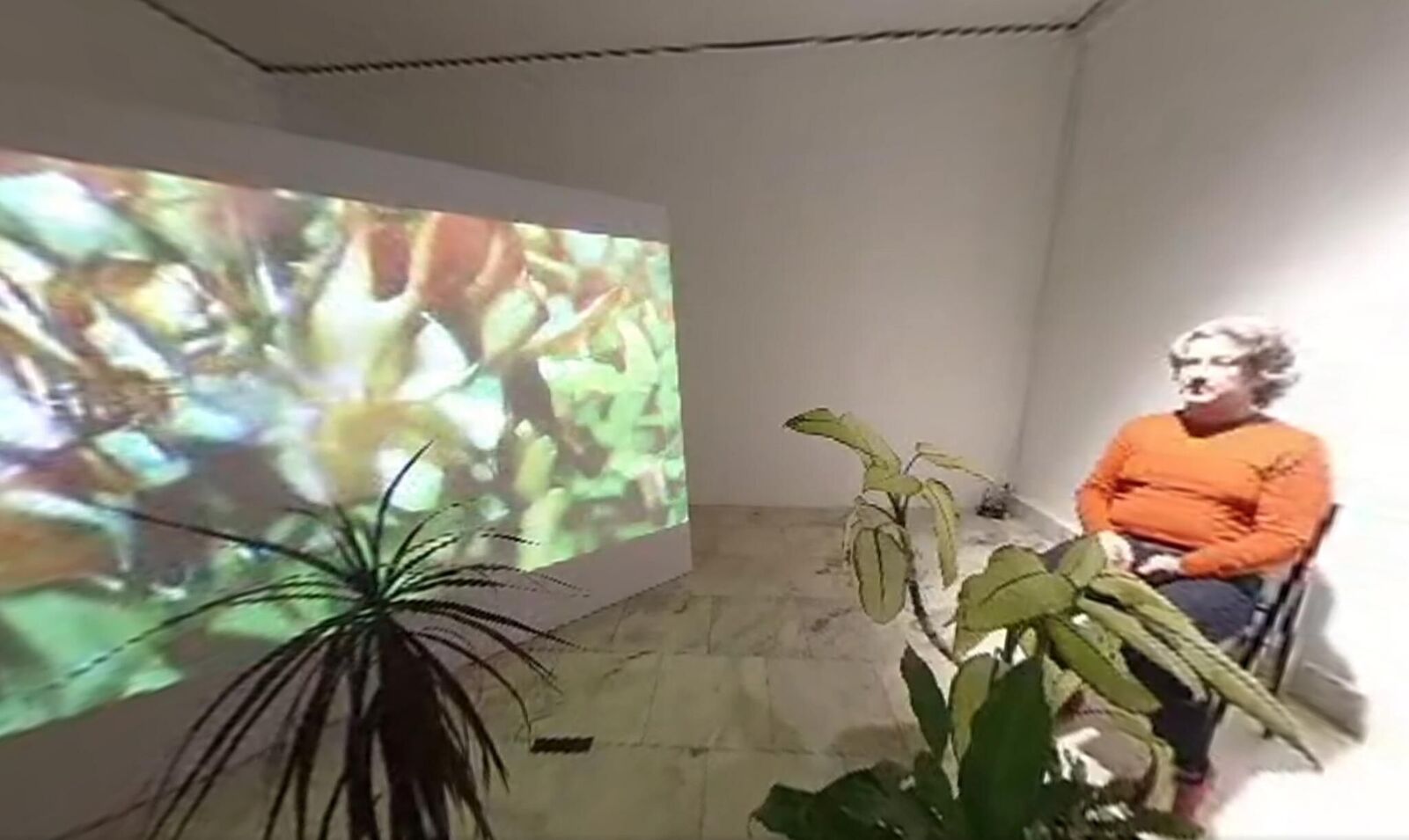 Gallery image of the project Svan/Nectar