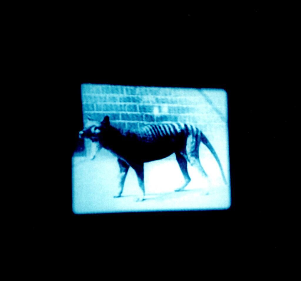 Cover image of the project Perfect Sculpture