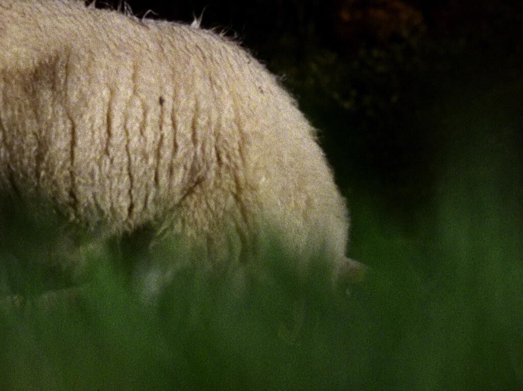 Gallery image of the project City Dwellers