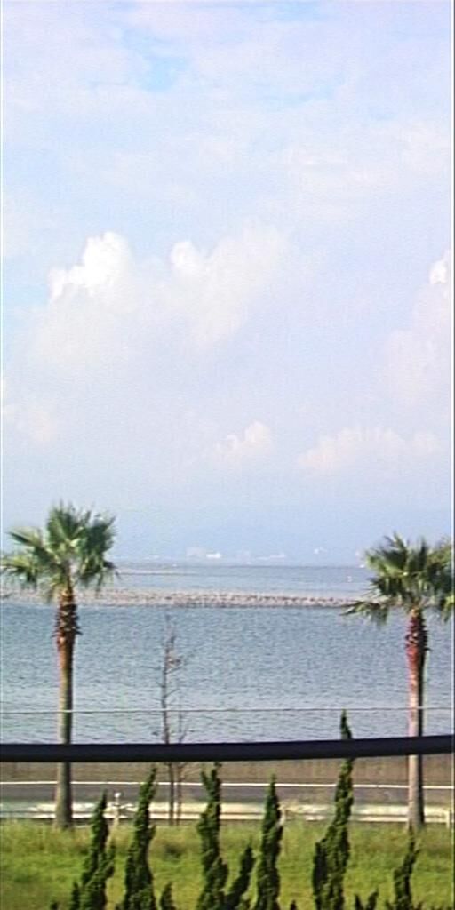 Cover image of the project Hikari 275