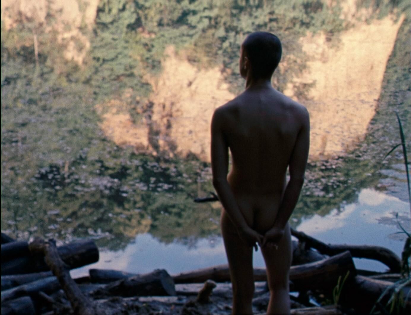 Cover image of the project Picnic at Hanging Rock