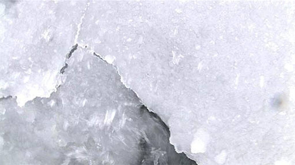 Gallery image of the project The White Tape
