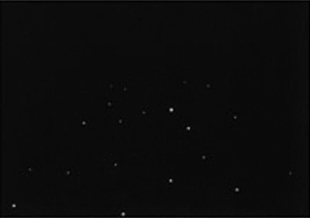 Cover image of the project Wanderland