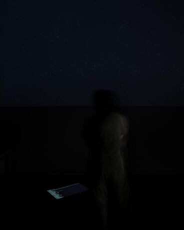 Live Stock / Live Animals Gallery image of the project Live Stock / Live Animals