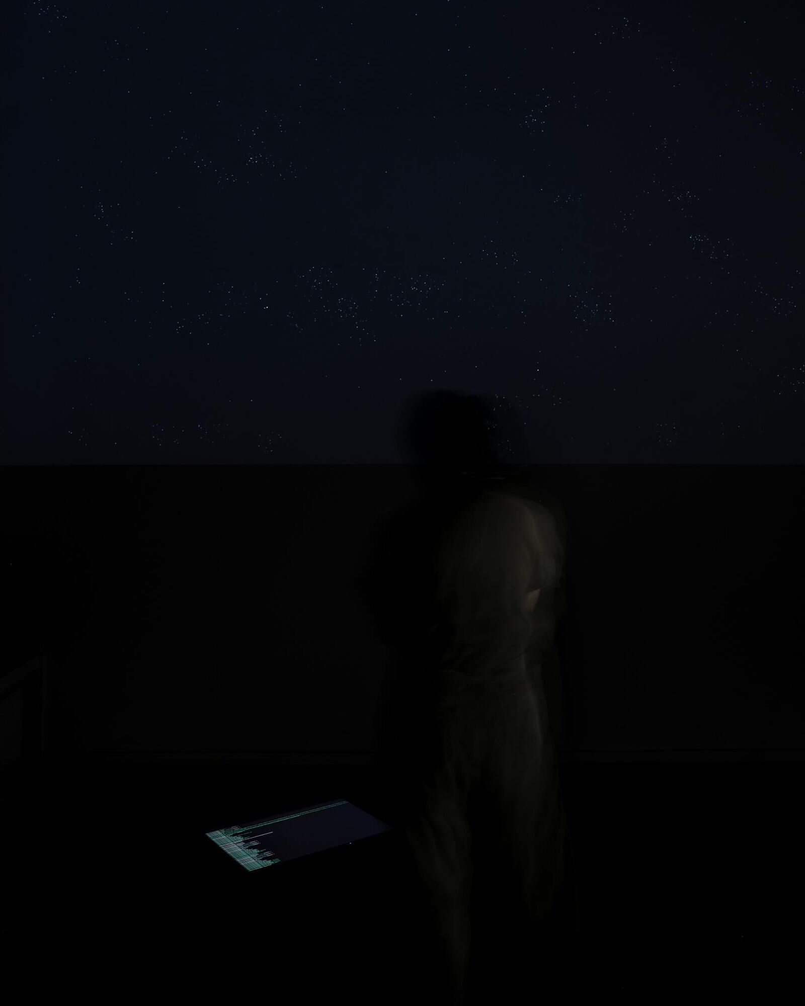 Gallery image of the project Live Stock / Live Animals