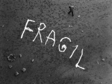 Gallery image of the project fragil