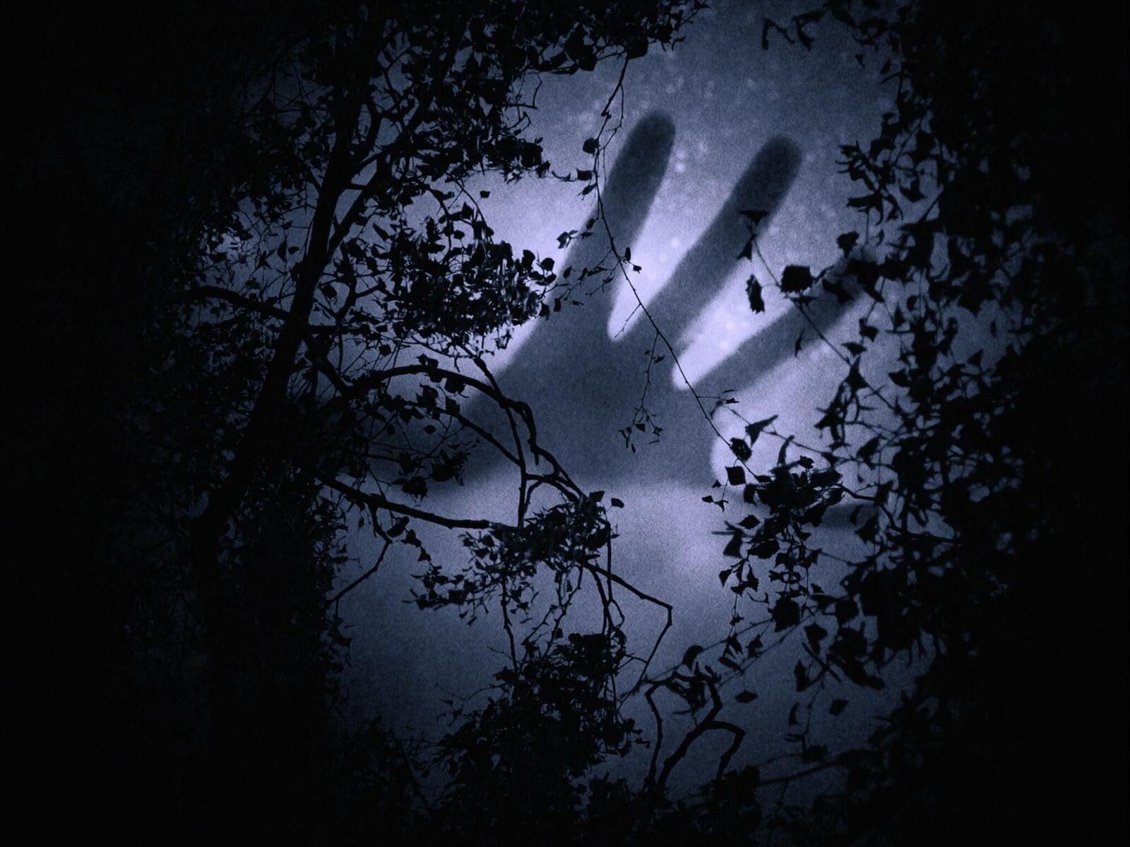 Gallery image of the project Das Außen, die Nacht