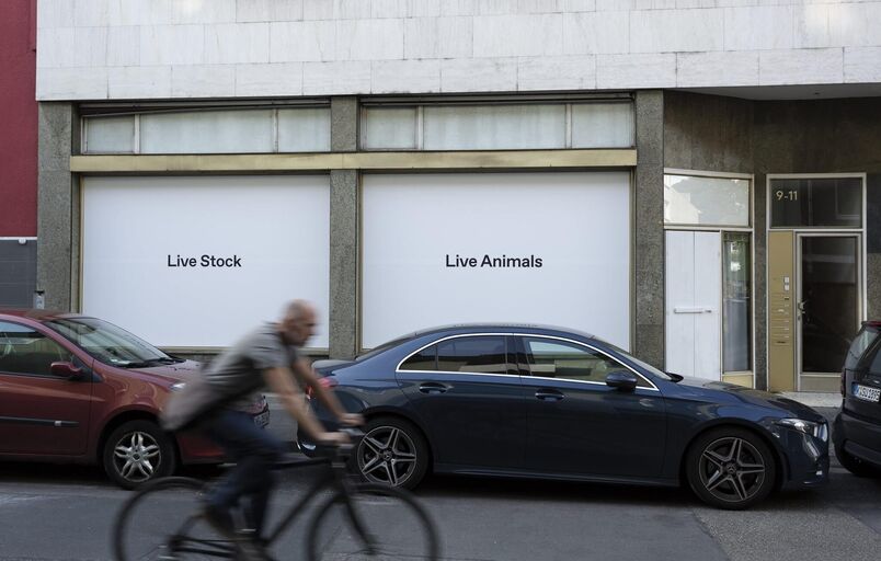 Cover image of the project Live Stock / Live Animals
