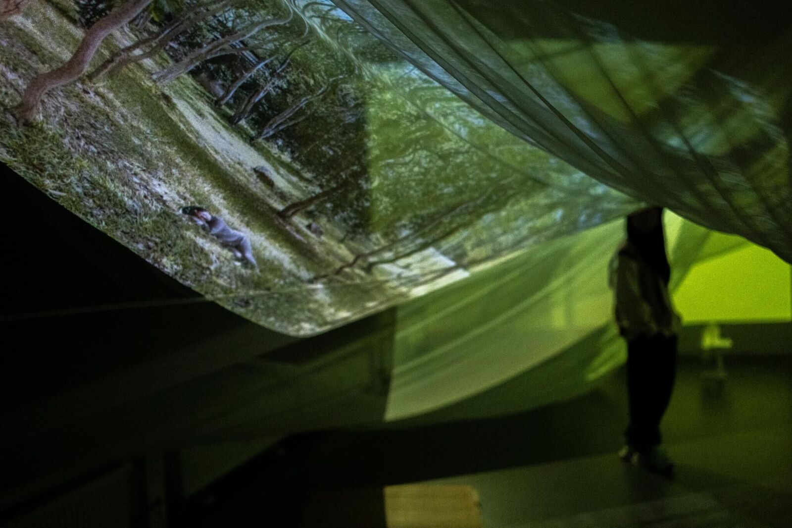 Cover image of the project Crimson Sap Flowing Through My Veins