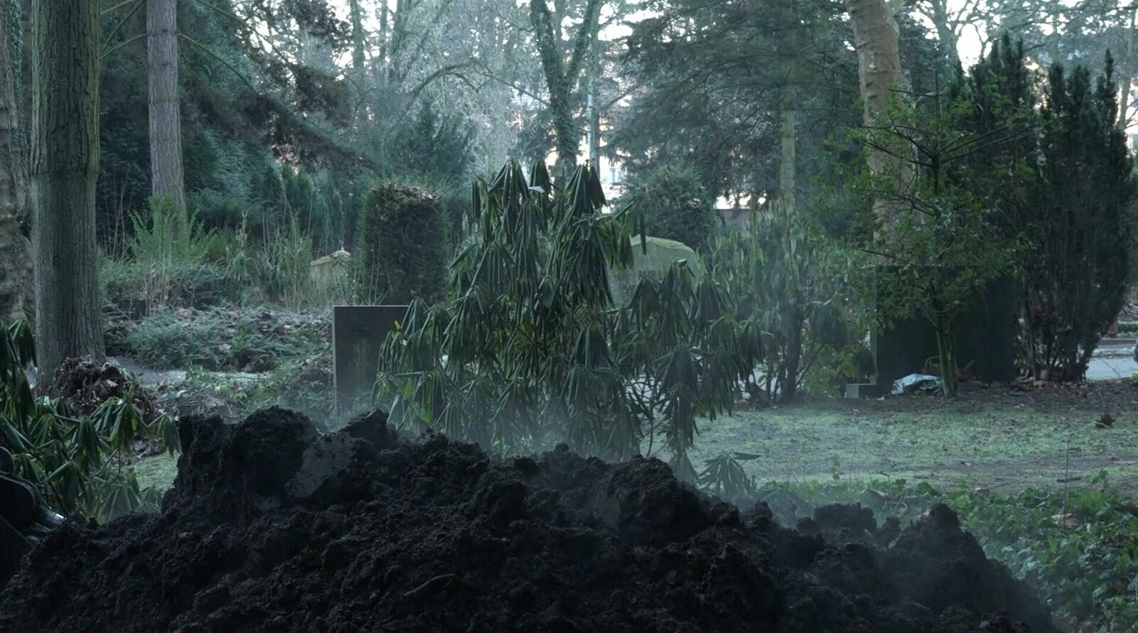 Gallery image of the project Morgens halb neun in Köln-Mülheim