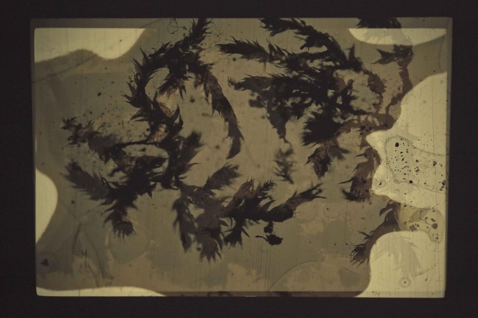 Gallery image of the project Swamp optical trance