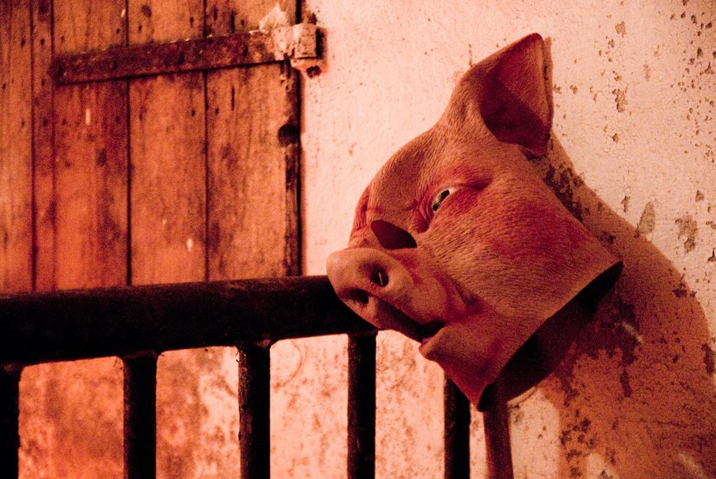 Cover image of the project Sch(w)einschlachtung - 250 Euro