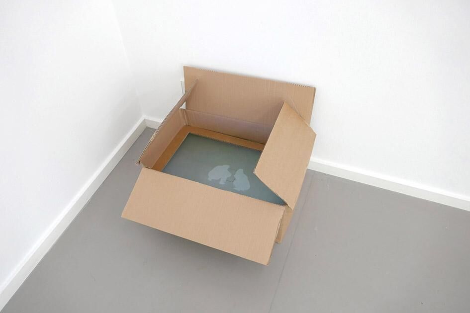 Gallery image of the project Where did you sleep last night