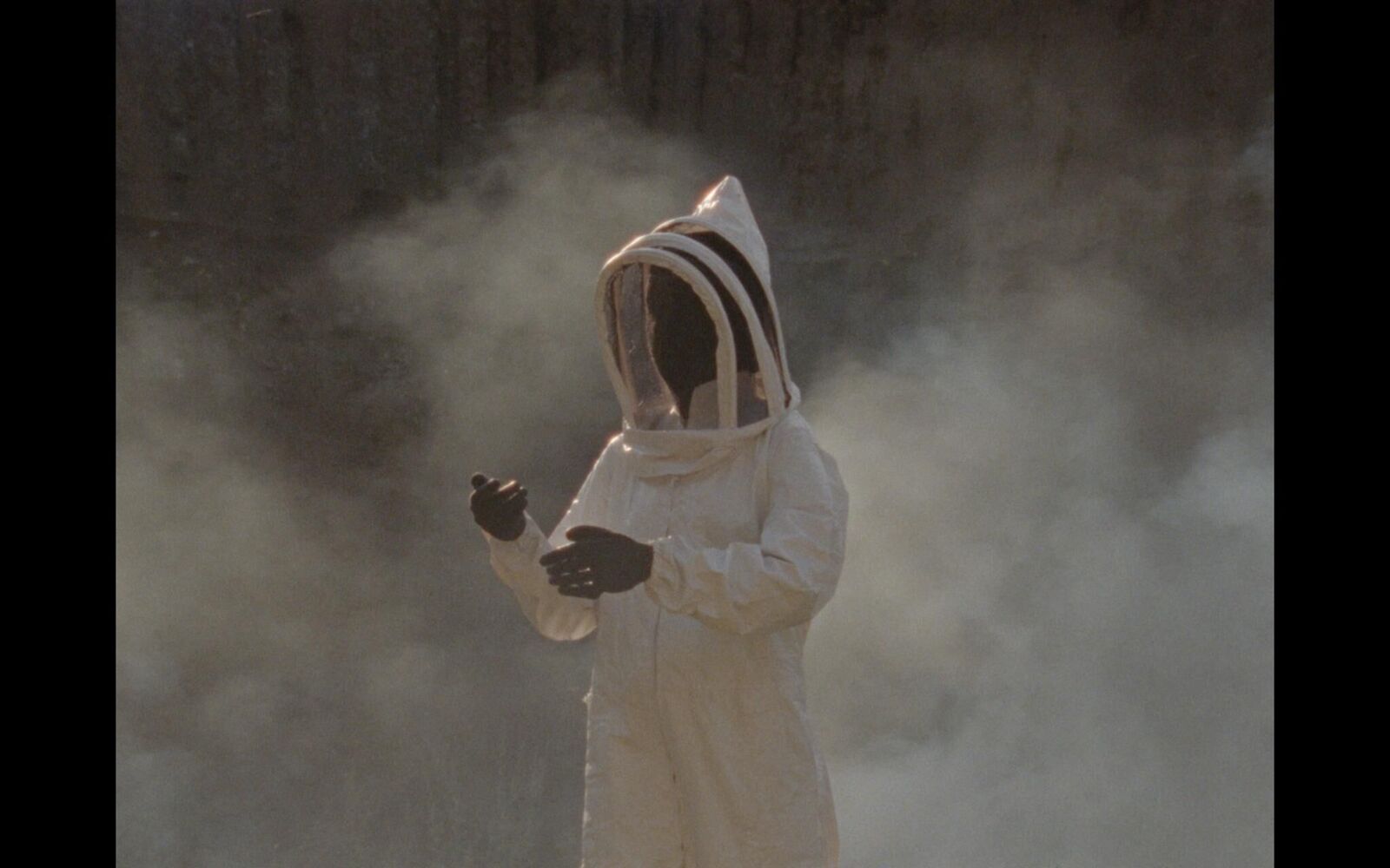 Gallery image of the project Solaris 