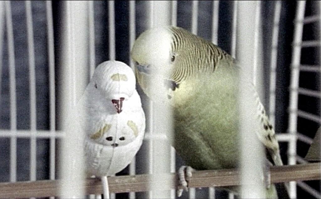 Gallery image of the project Du und ich, wir könnten einander gehören 