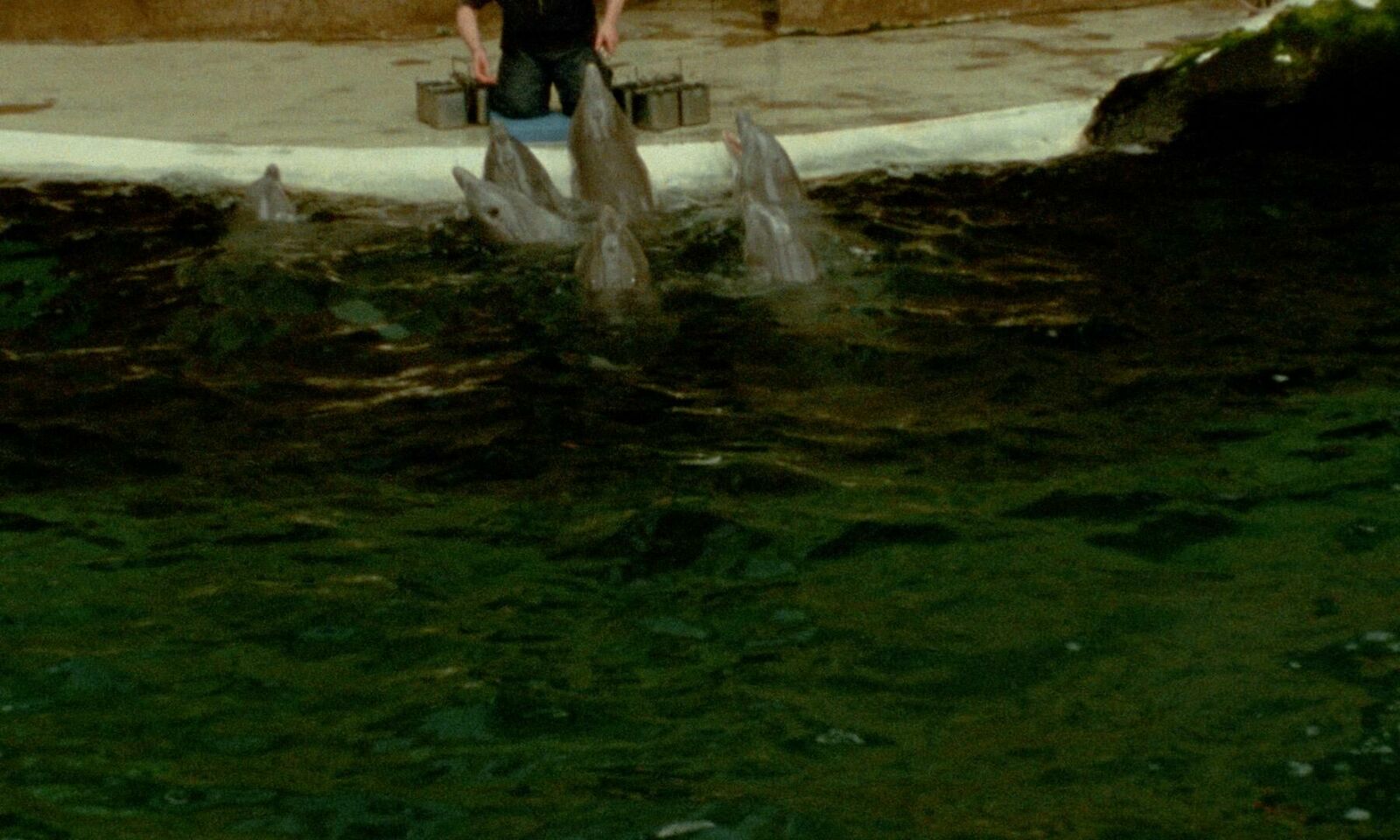 Gallery image of the project The Fading Sound of Waves