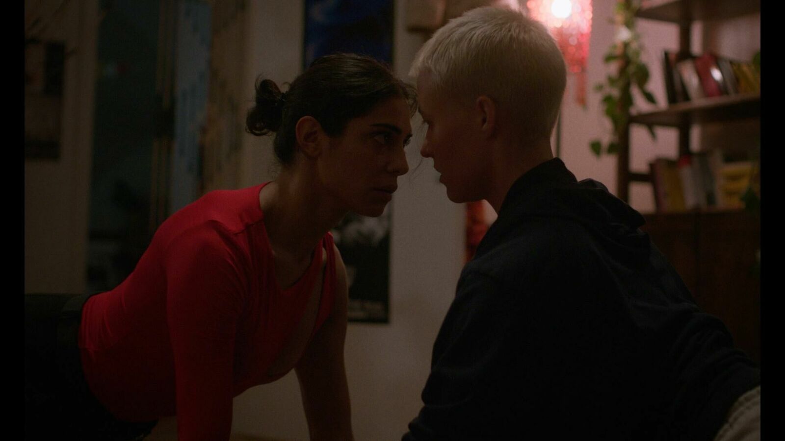 Gallery image of the project Katzenbellen