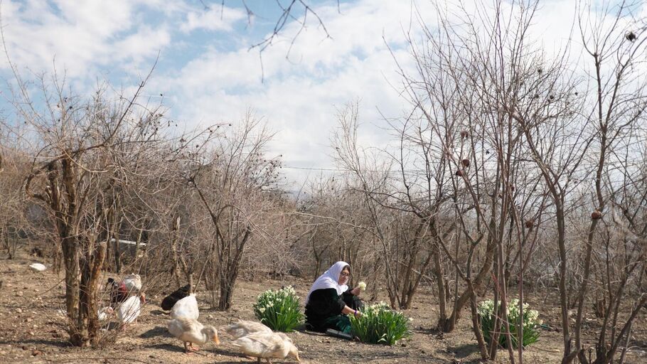 Cover image of the project Anfal—eight lives, one genocide