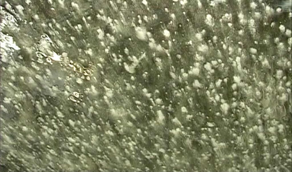 Gallery image of the project Car Wash