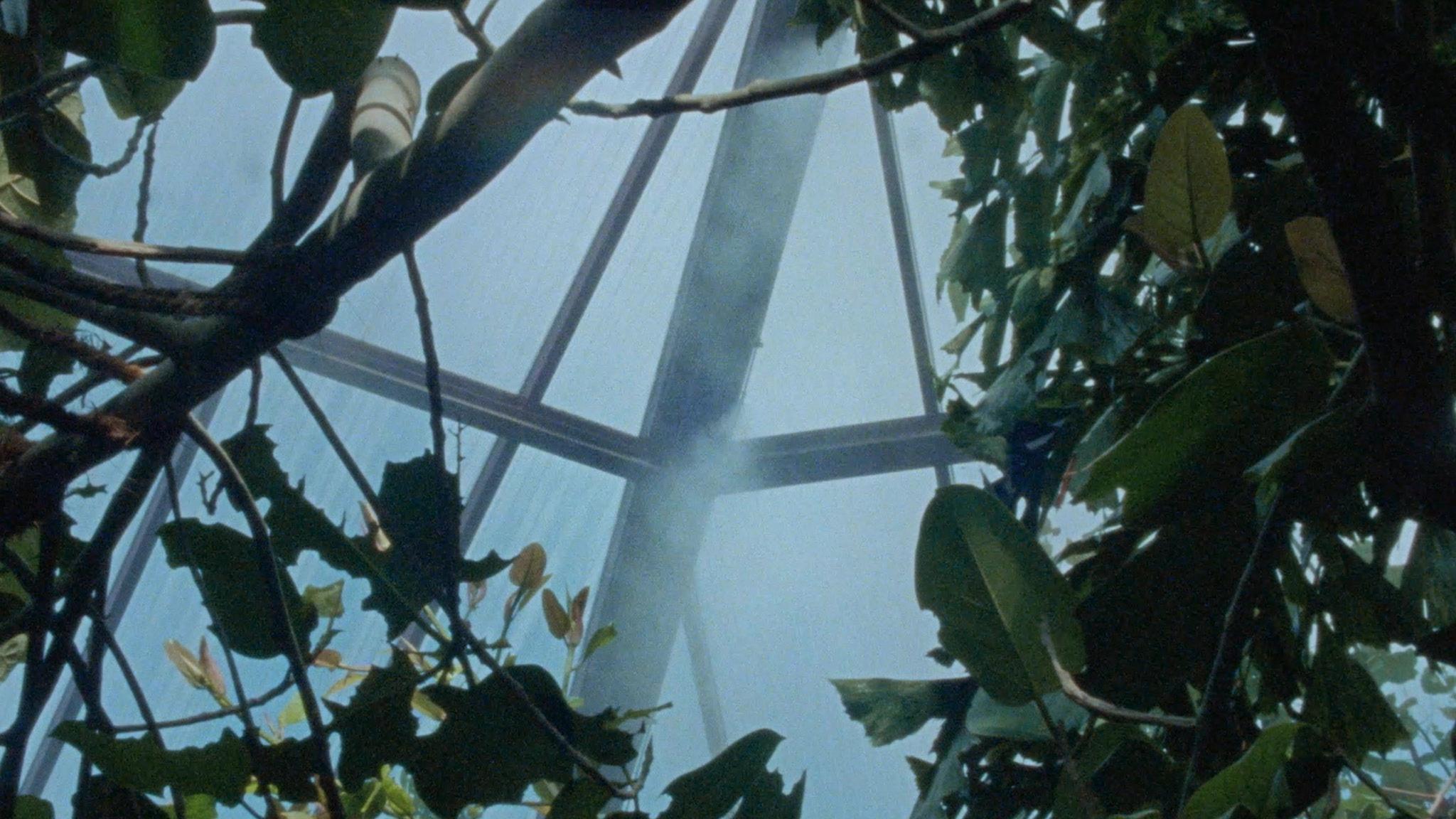 Gallery image of the project Crocodile Nest