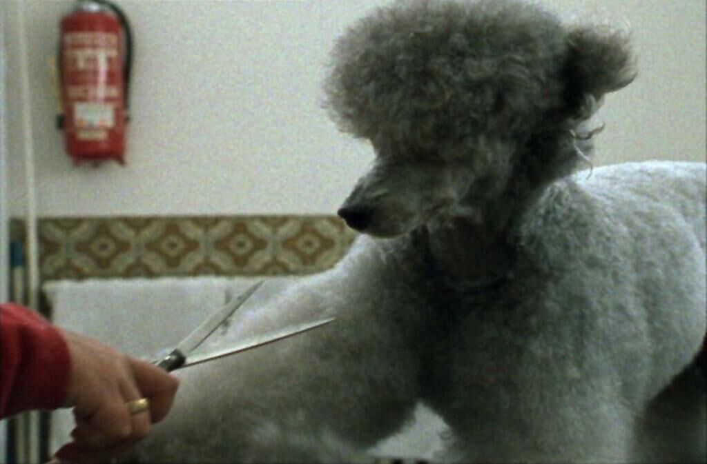 Gallery image of the project Salon Toxi