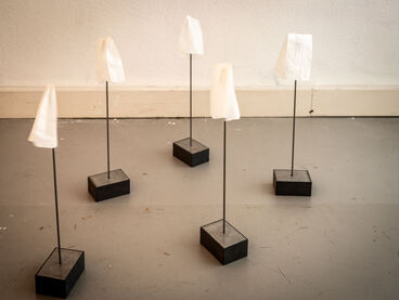 Esther Rosiny-Wieland – Open Book / Papiergeister (Diplom)