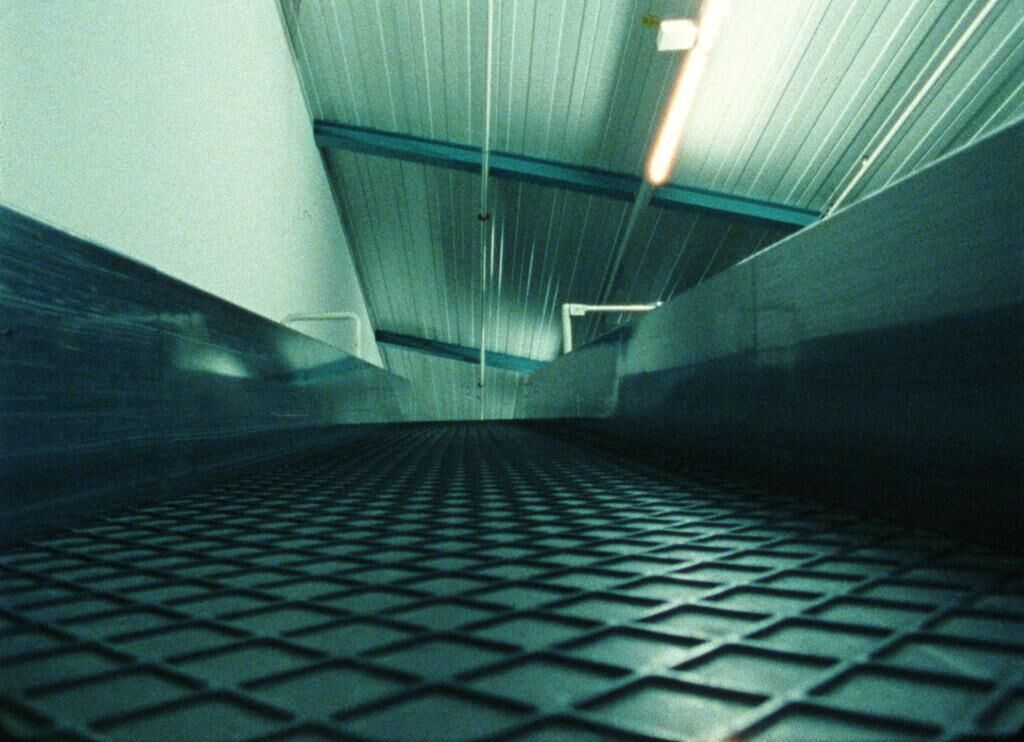 Gallery image of the project grounded.